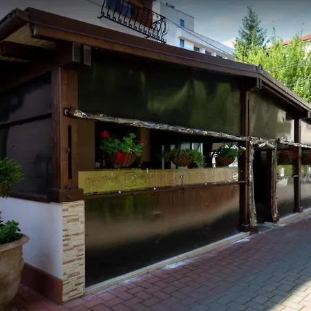 Guest house Pensiune Turistica Tosca 3*