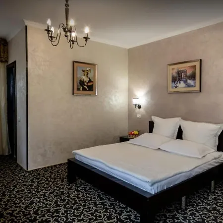 Guest house Pensiune Turistica Tosca Bacau