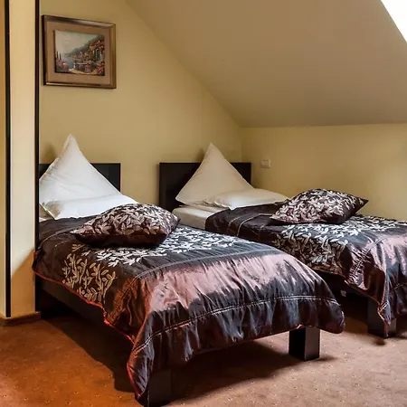 Pensiune Turistica Tosca Guest house 3*