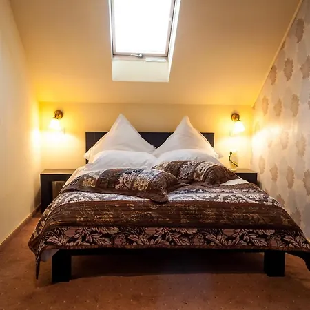 Pensiune Turistica Tosca 3* Bacau